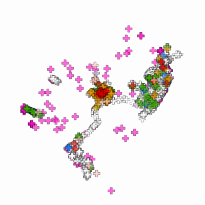 Export Image